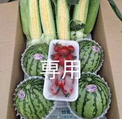 kylin様専用ページです。