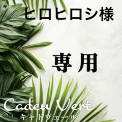 【ヒロヒロシ様専用】