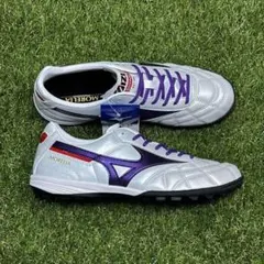 ミズノ　モレリアTF　24.5㌢　ペイントカスタムモデル