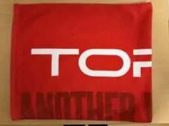 T.O.P RE:UNION フェイスタオル B verz