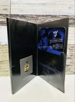 Item thumbnail for item 8e580904-18cc-4c3b-81f1-48cfb1b320fd