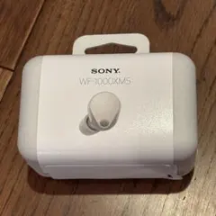 SONY WF-1000XM5 ラベンダー - メルカリ