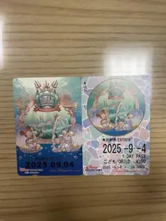 ディズニー リゾラ フリー切符