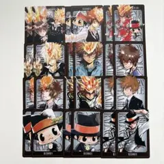 家庭教師ヒットマンREBORN! リボーン ボードゲーム ボドゲ ツナ