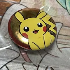 ポケモン 缶バッジ レッド ヒトカゲ - メルカリ