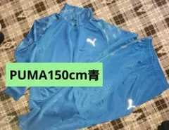 PUMAジャージ150cm青
