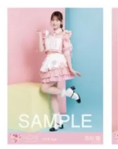 ピチュー様 リクエスト 2点 まとめ商品