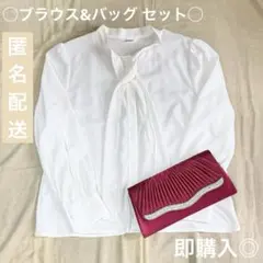 ◯purelast ボウタイブラウス パーティーバッグ セット◯