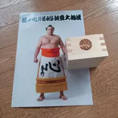 2025年最新】栃ノ心の人気アイテム - メルカリ