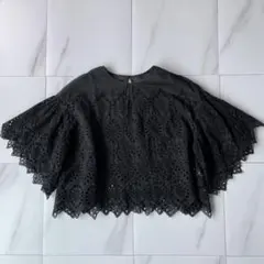 ANAYI シルク定価3.8万 刺繍レースクロップドブラウス ブラック 38のサムネイル