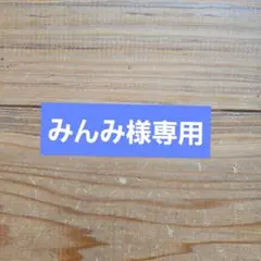 みんみ様専用