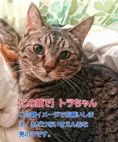 meru様　参考用