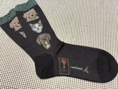 新品　ANTIPAST×coral&task　Dogs & Catsソックスのサムネイル