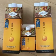 フィネス 豊潤サジー 4本セット 1000ml - メルカリ