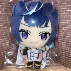 あんスタ ぬいぐるみ 新衣装 Special for Princess! エス④ - メルカリ