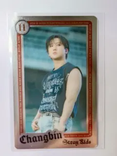 straykids エコパ　ライブフォトカード　チャンビン