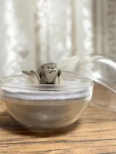 2026年最新】カワウソ 水族館の人気アイテム - メルカリ