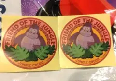 Disney Jungle Cruise ステッカー 2枚セットのサムネイル