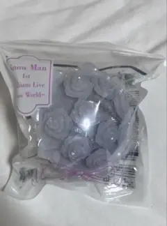 SnowMan SnowWorld ペンライト