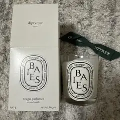 2025年最新】diptyque キャンドル 190の人気アイテム - メルカリ