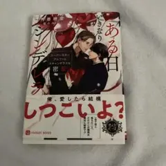 ある日いきなりシンデレラ ～スーパースターアルファとスキャンダラスな密愛～