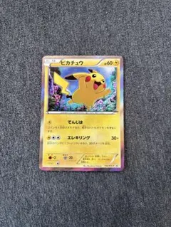 ピカチュウ：「バトルロード スプリング☆2007」 PROMO DPプロモーシ