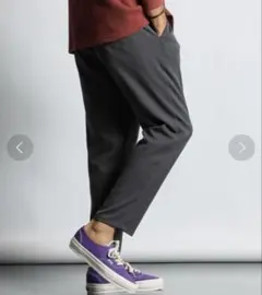 The DUFFER of St.GEORGE イージースラックスのサムネイル