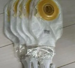 Item thumbnail for item 9d4c6876-245e-4cd2-8322-eefd82560994