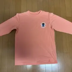 THE NORTH FACE 長袖カットソー ピンク L