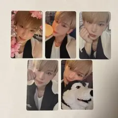 &TEAM HARUA ハルア 雪明かり トレカ セット