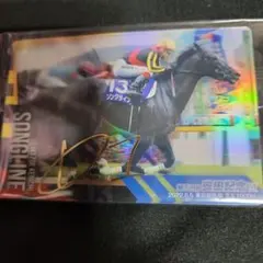 サラブレッドホースコレクション競馬トレカ計9枚(内サインカード1枚)