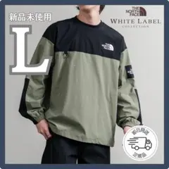 ★大人気★L ノースフェイス ALBANY EX CREWNECK ロンT レア