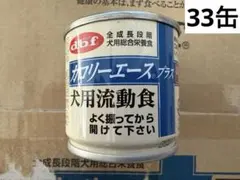 Item thumbnail for item b23e8b7c-ee85-419a-8a39-7c17f0a7d1e4