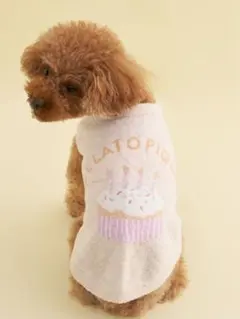 gelato pique カップケーキ犬服 小型犬用のサムネイル
