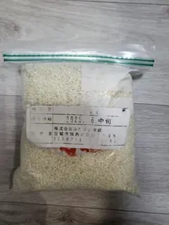 もち米 茨城県産　くず米混じり訳あり品 2024年産　2025年精米　1.2kgのサムネイル