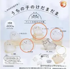 うちの子のけだまだま　三角たれみみ　丸たれみみ　プードル