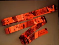 Item thumbnail for item 90cf63c3-de49-49f5-839a-d50b07221734