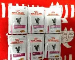 Item thumbnail for item e7ba31ef-7551-4d46-af1c-f31e9dd31291