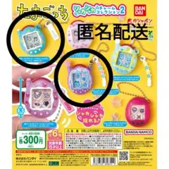 たまごっちシャカシャカチャームコレクション2　ガチャ　めめっち　まめっち