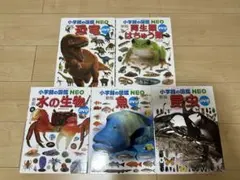 小学館の図鑑NEO 【5種類セット売り】【DVD2種類付き】