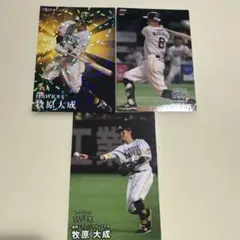 ソフトバンクホークス牧原大成選手プロ野球チップスカルビーカード