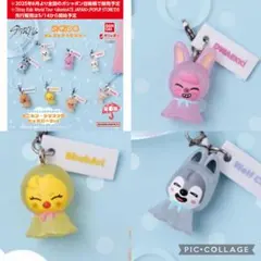 SKZOO めじるしアクセサリー ポガリ ウルフチャン トェッキ