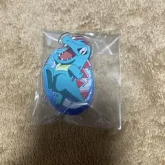 ポケモン ワニノコ アクスタ