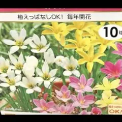 えつこ様 リクエスト 2点 まとめ商品