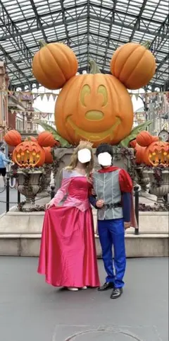 ［眠れる森の美女］ ディズニー フィリップ王子衣装