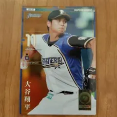 超希少】 大谷翔平 ハイライトフォト 2013年 ルーキー 球団公式写真 ①