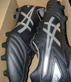 ‼️引越し格安販売中‼️asics DSライト 29.0cm サッカースパイク