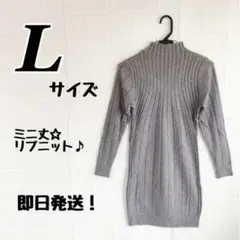 グレイ L リブニット ワンピース ミニ丈 ハイネック クルーネック 韓国 秋