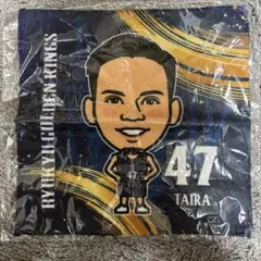 琉球ゴールデンキングス 平良選手 ハンドタオルのサムネイル