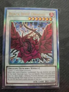 遊戯王　ブラックローズドラゴン￼ レリーフ　ホロ　外国表記￼￼ ブラックローズドラゴン 英語 レリーフ 1st Edition 英語版 CSOC